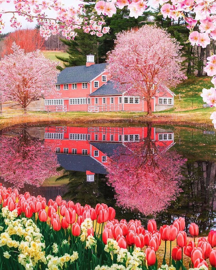 nature_ house