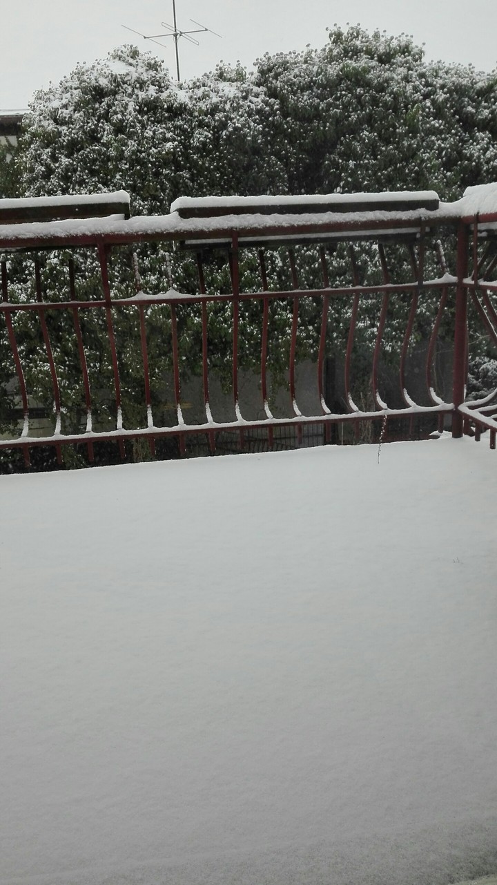 śnieg
