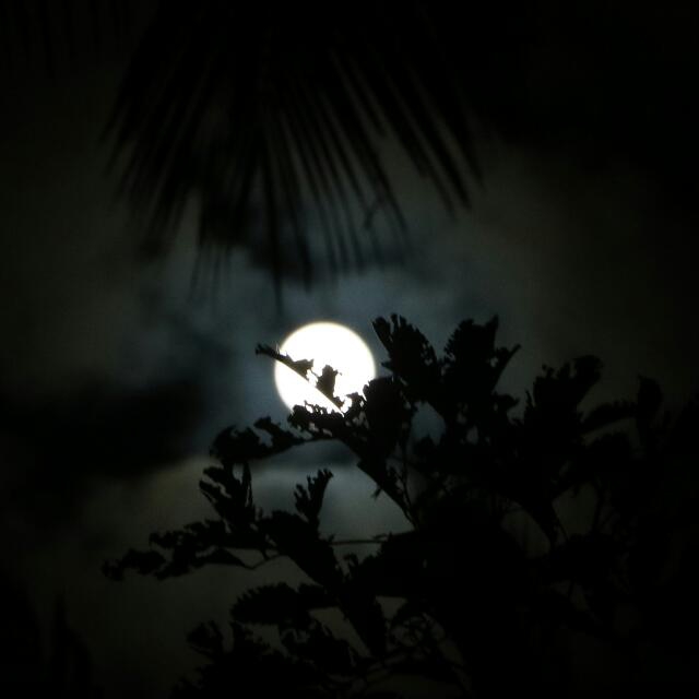 good night