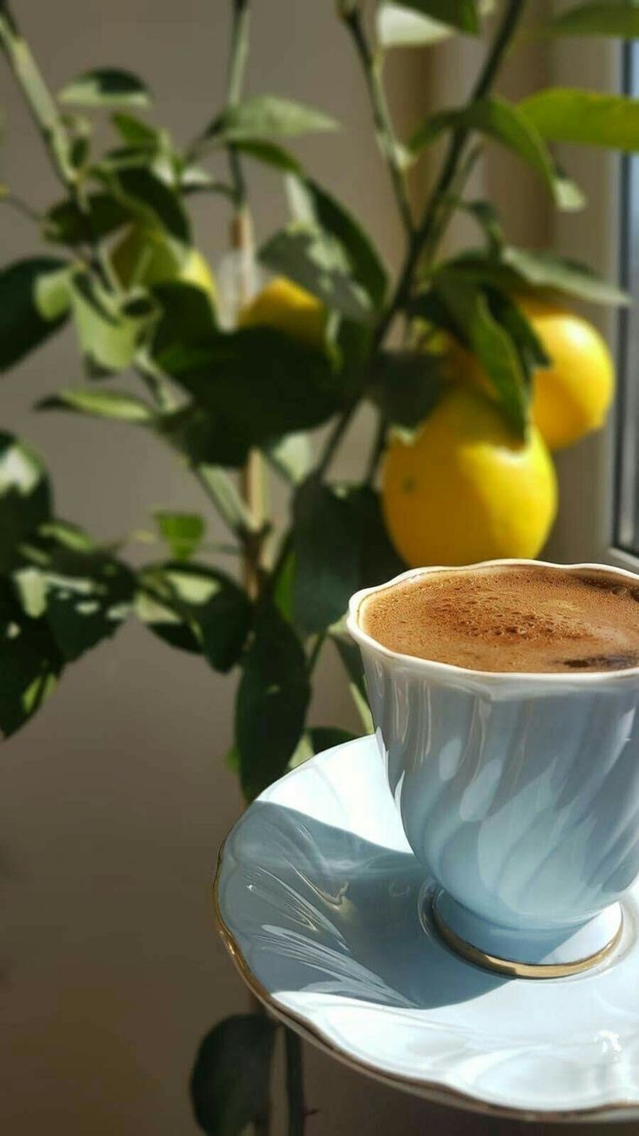 coffee