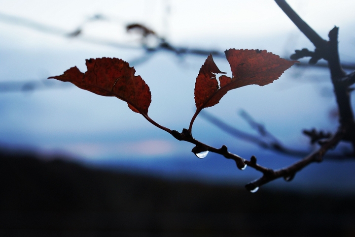 autumn..