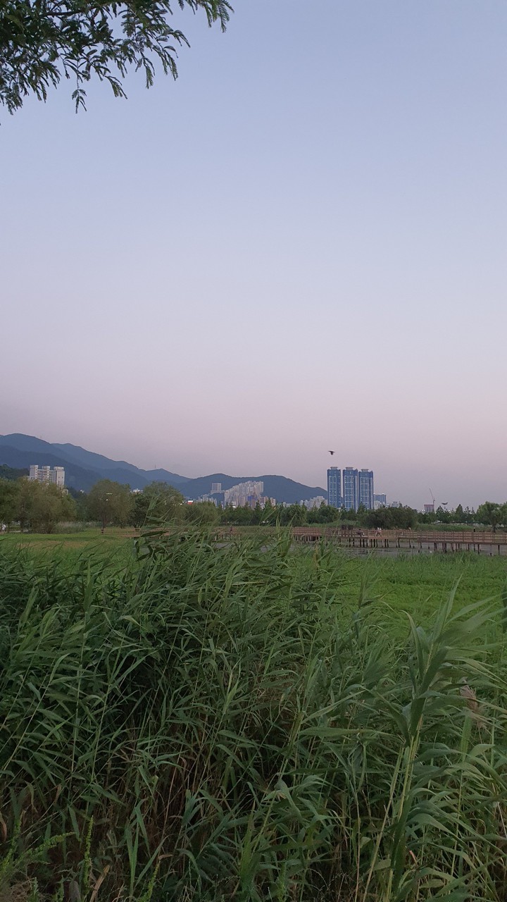 해질녁(sunset)