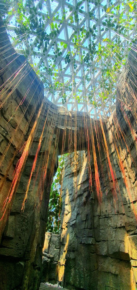 artificial jungle (dome botanical garden)