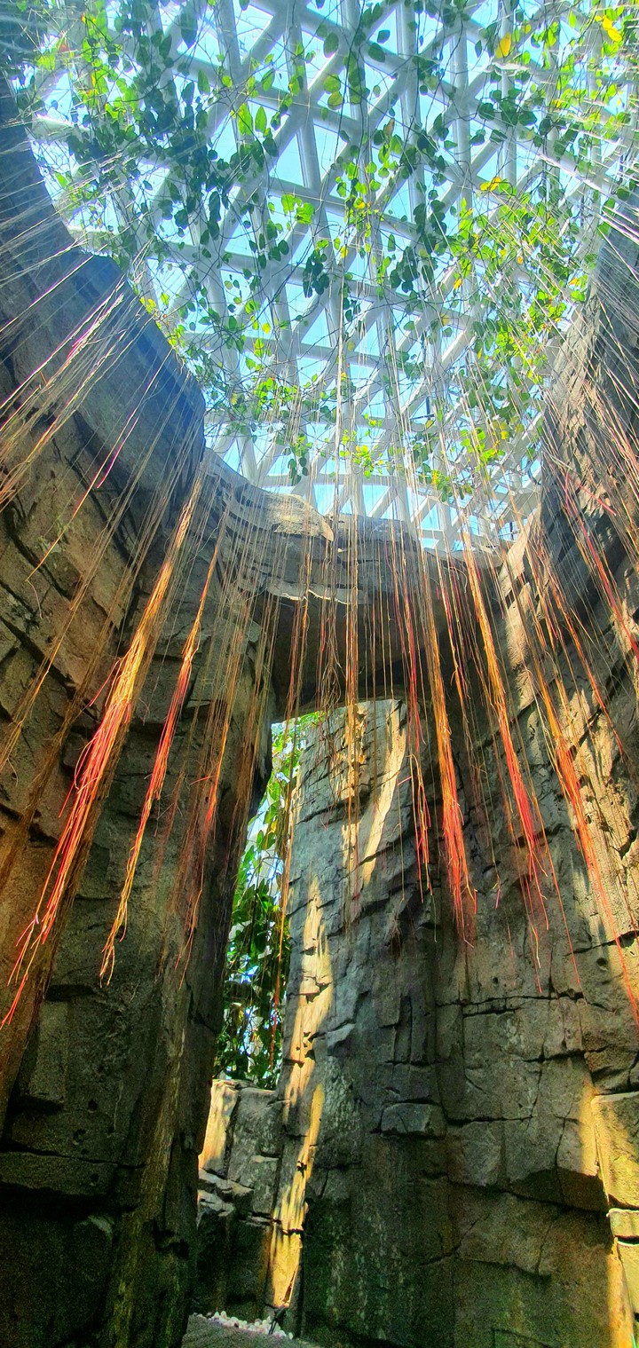 artificial jungle (dome botanical garden)
