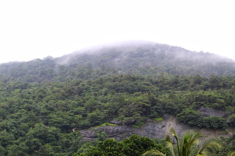 Green Mountains