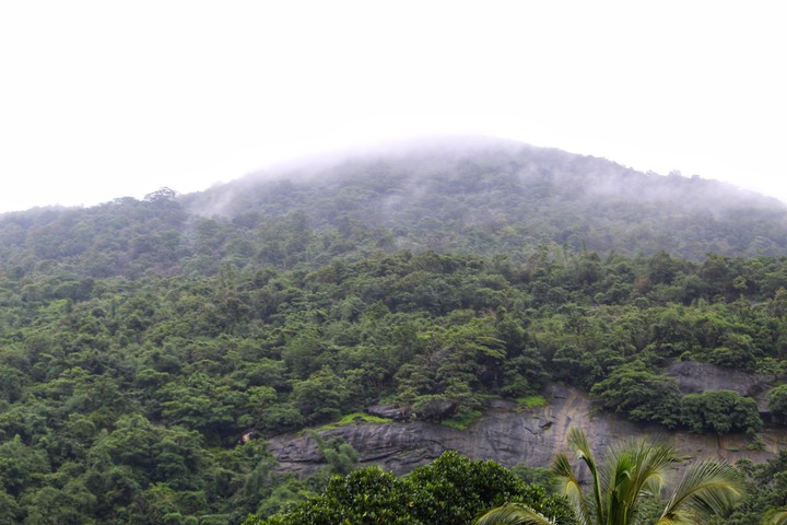 Green Mountains
