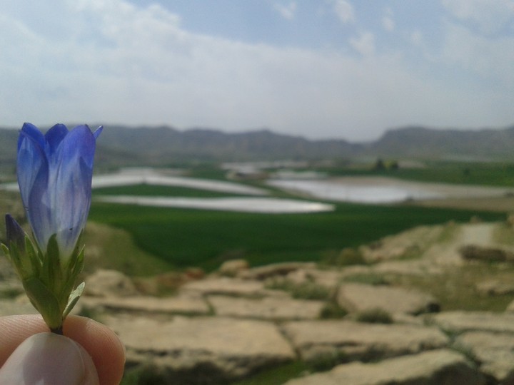 nature