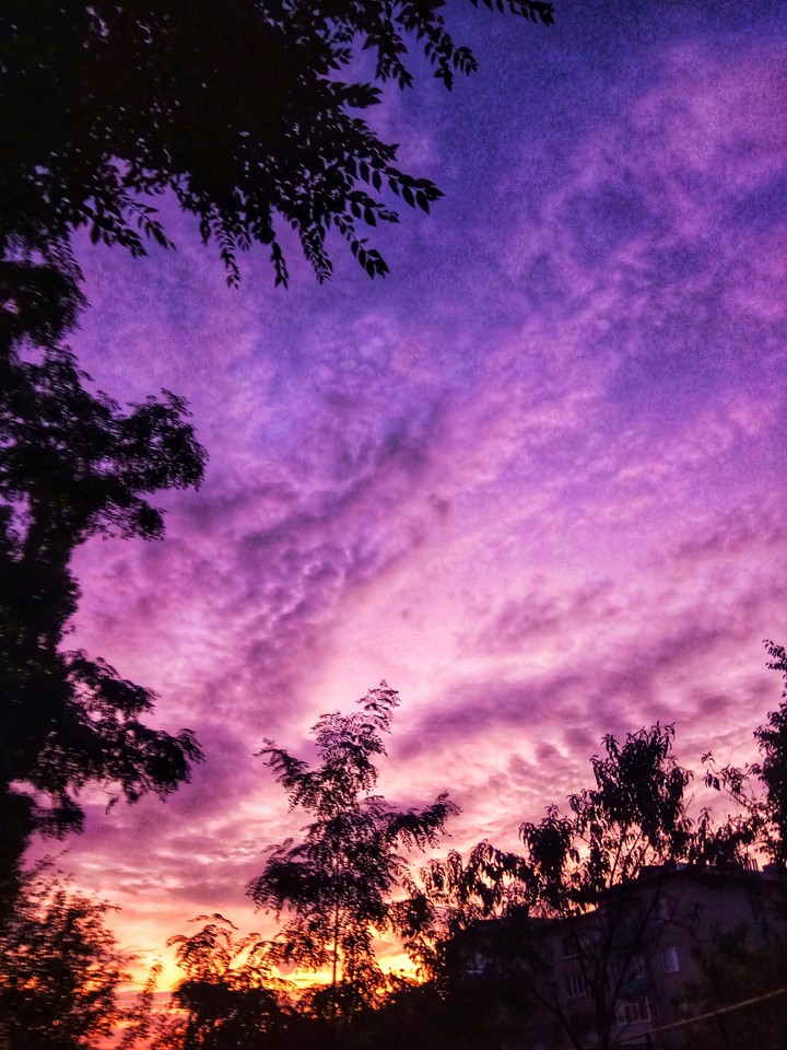 sunset