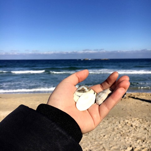 רקעים vacation, Cute