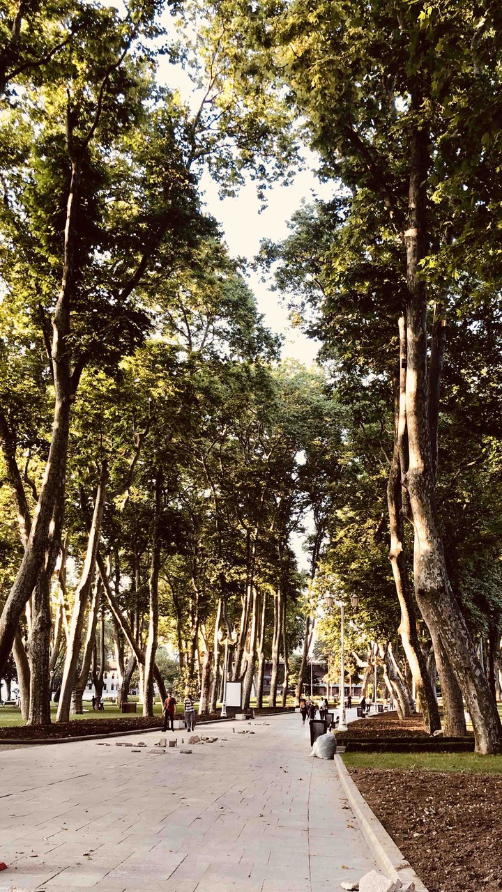 Gülhane Parkı/İstanbul/Türkiye ??