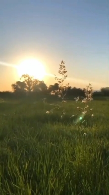Nature.