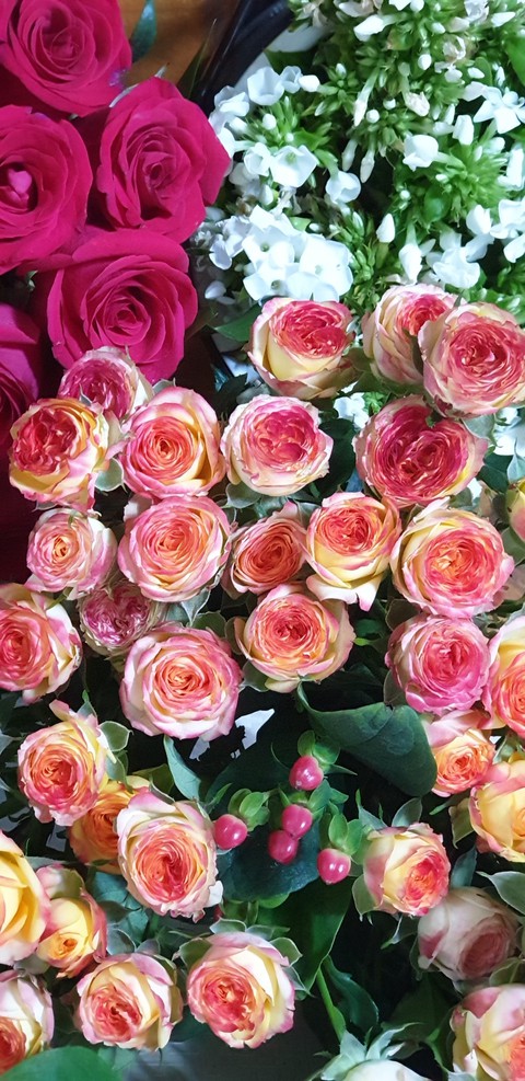 רקעים nature, pink