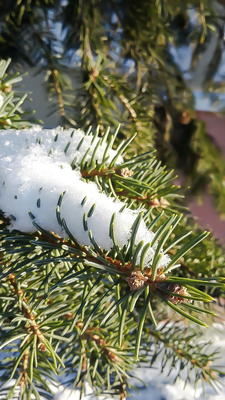 winter2018