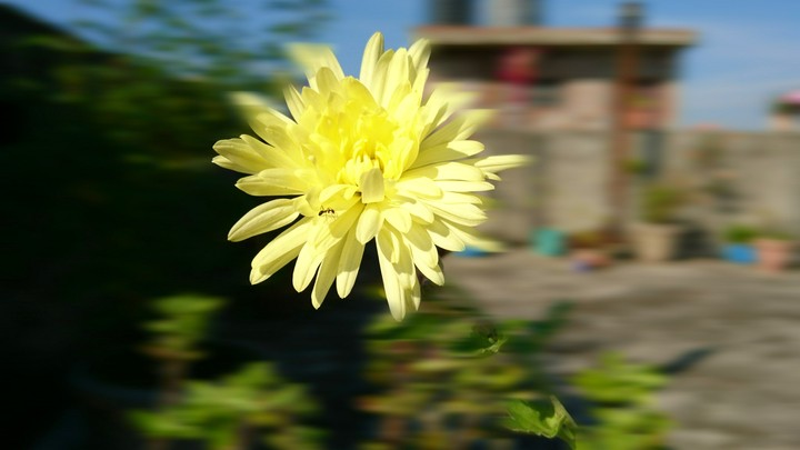 Macro
