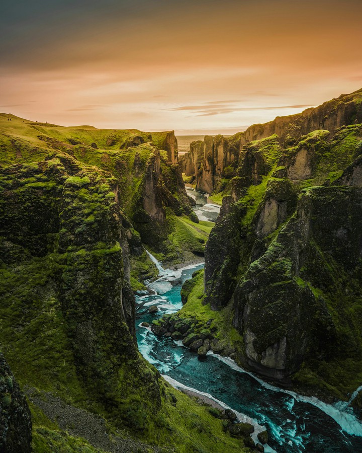 nature
