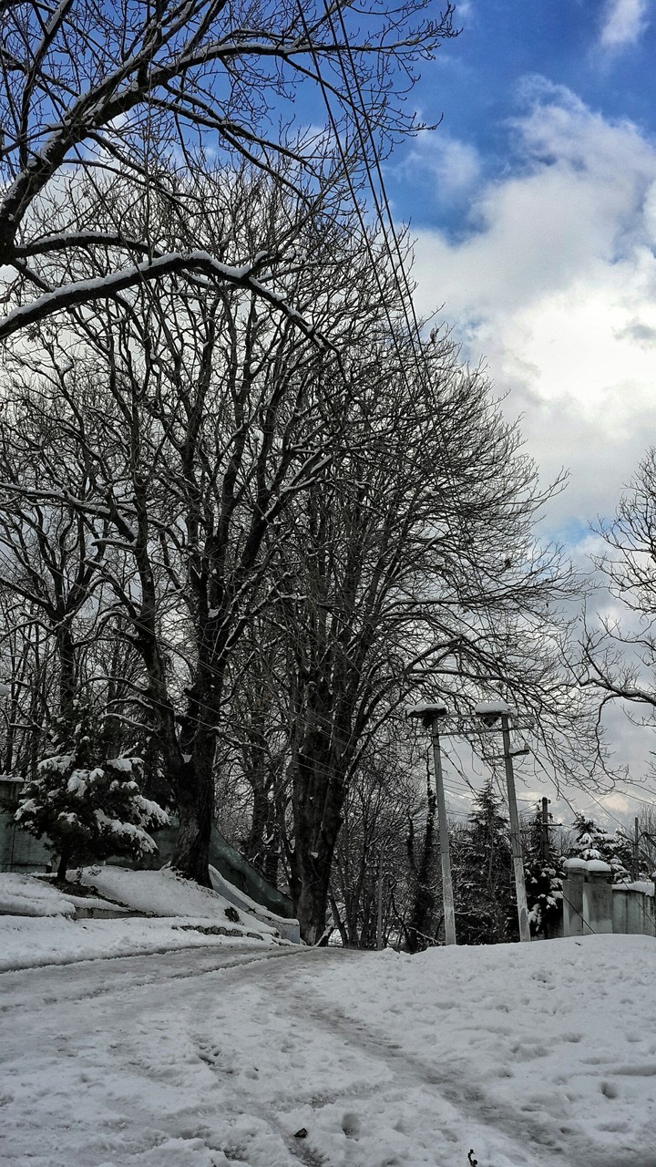 Dalhousie