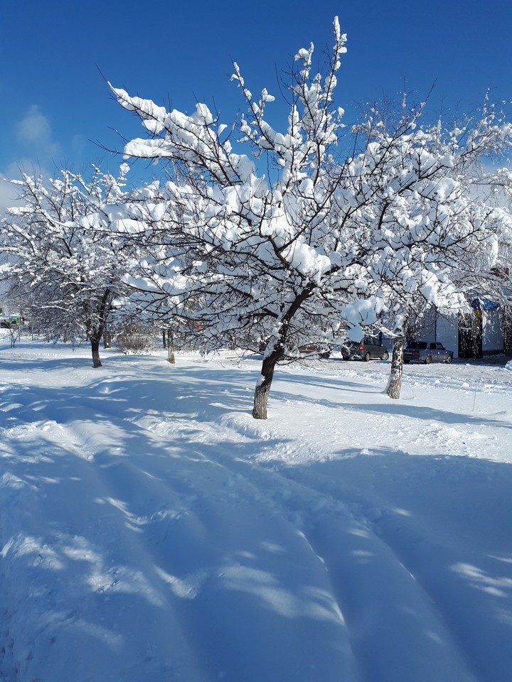 Winter 2020