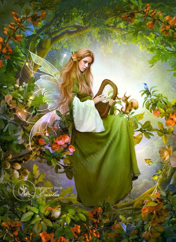 fairy