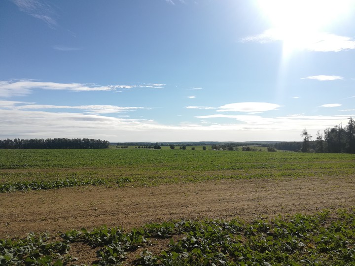 czech landscape