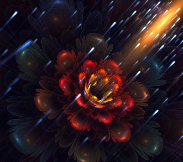 rose
