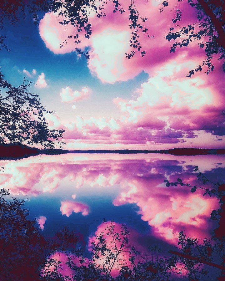 Candyfloss