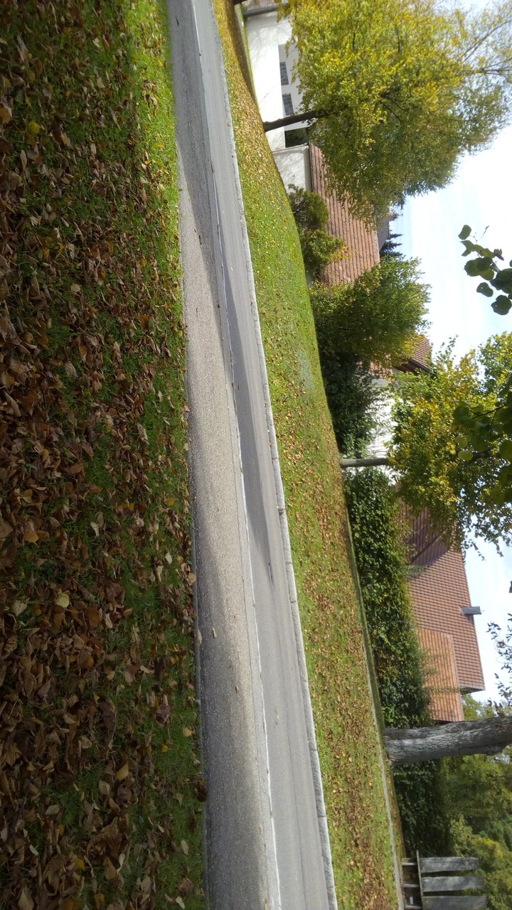 street
