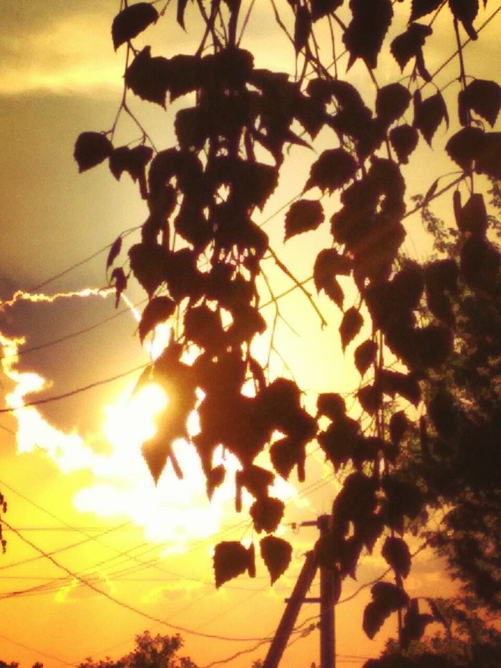 sunset