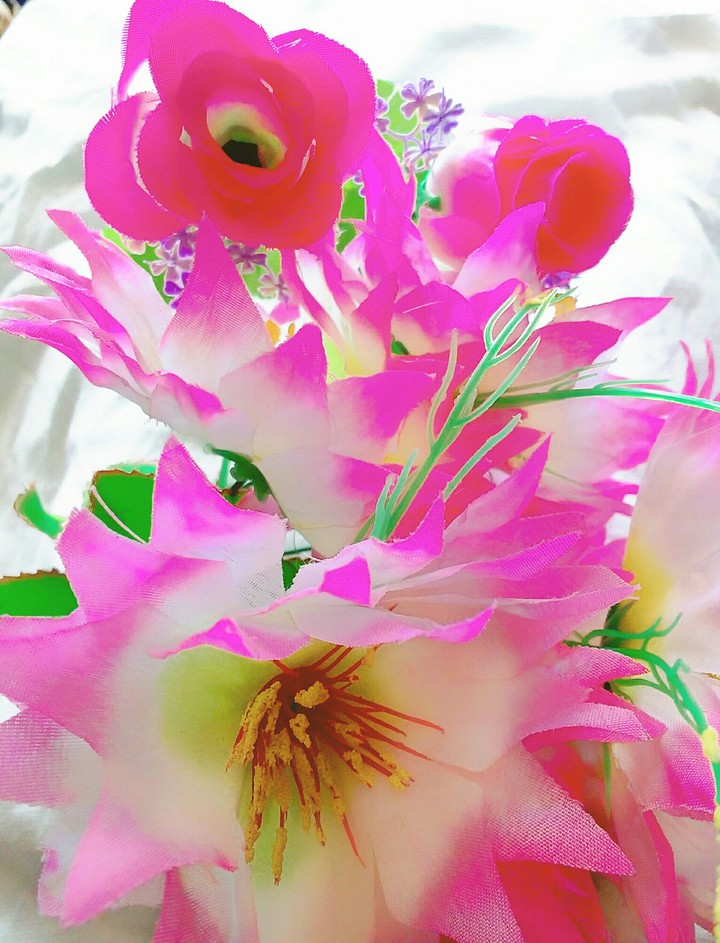 flowers