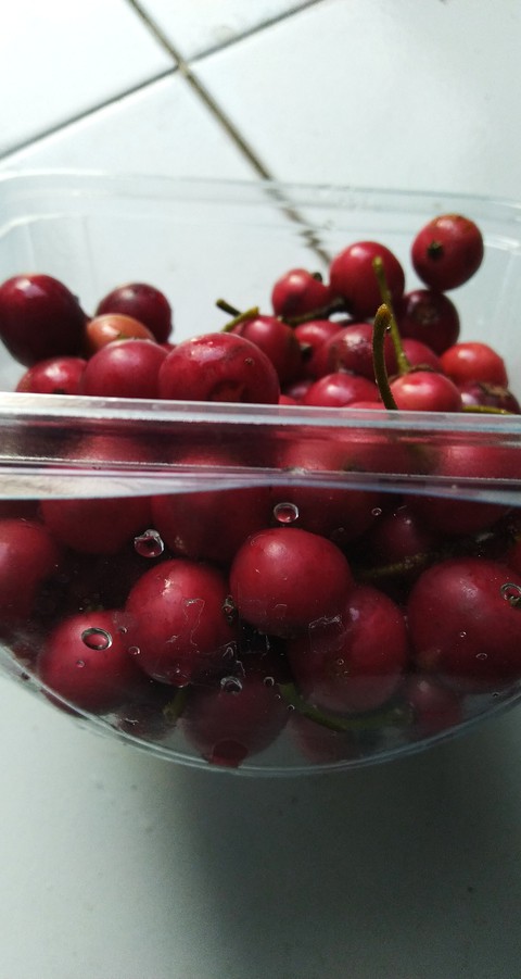Cherry