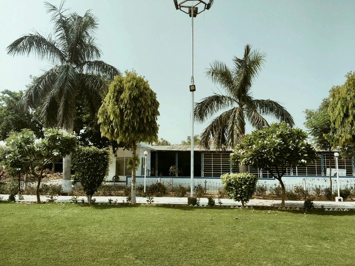park