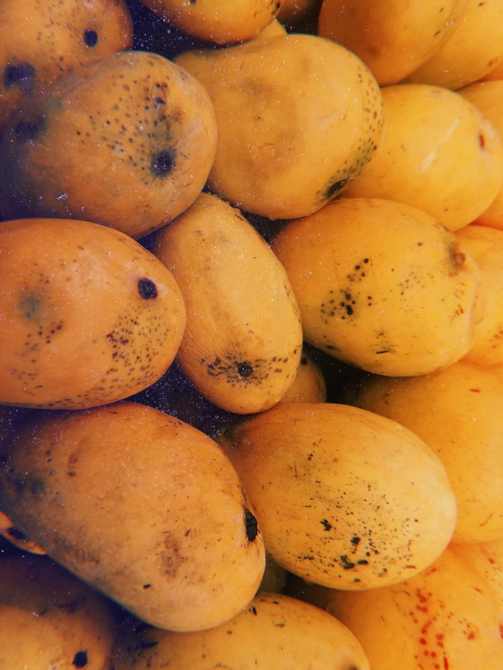 mango