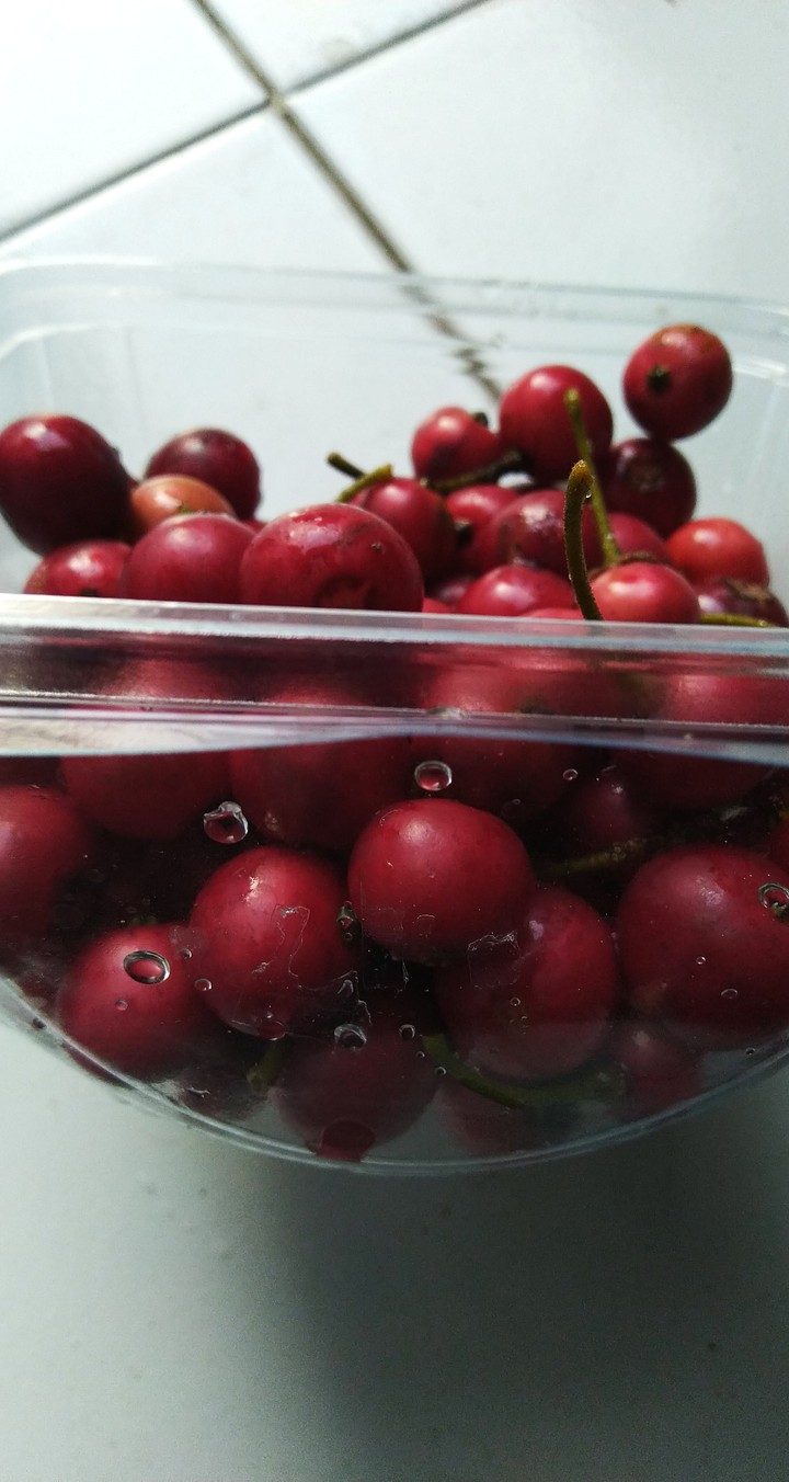 Cherry