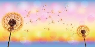 природа с вами