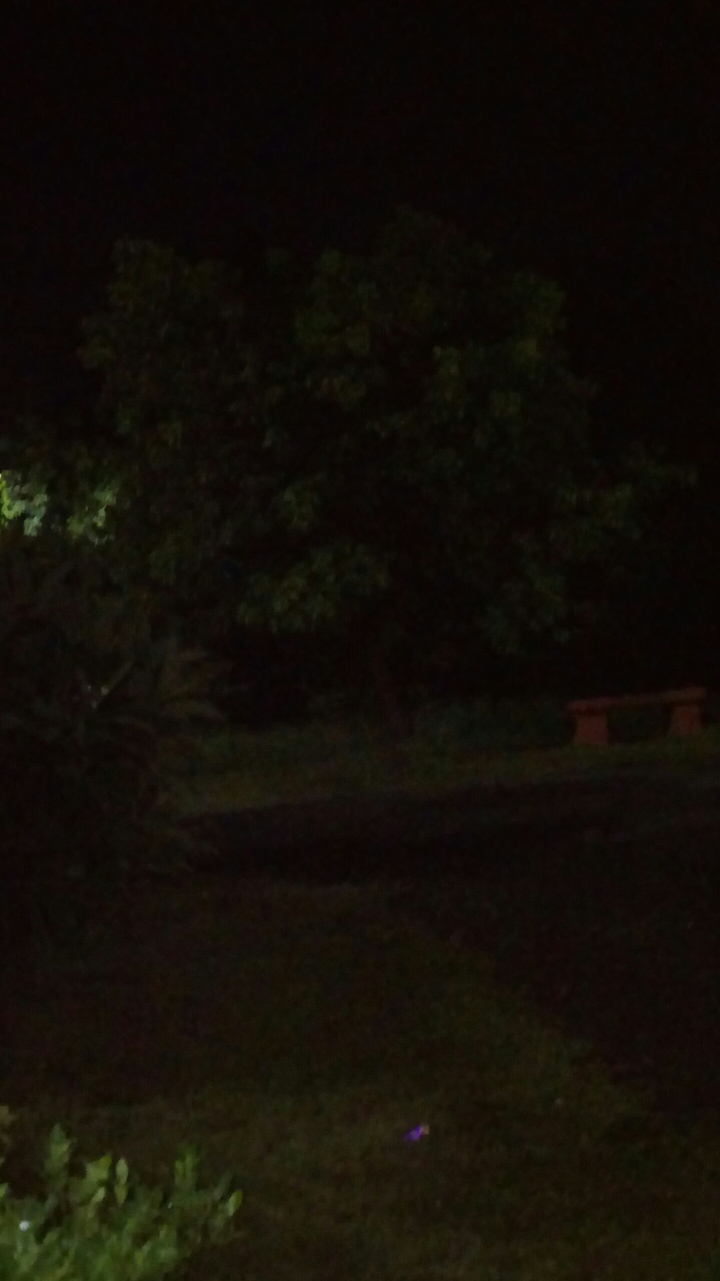 greeny darkness