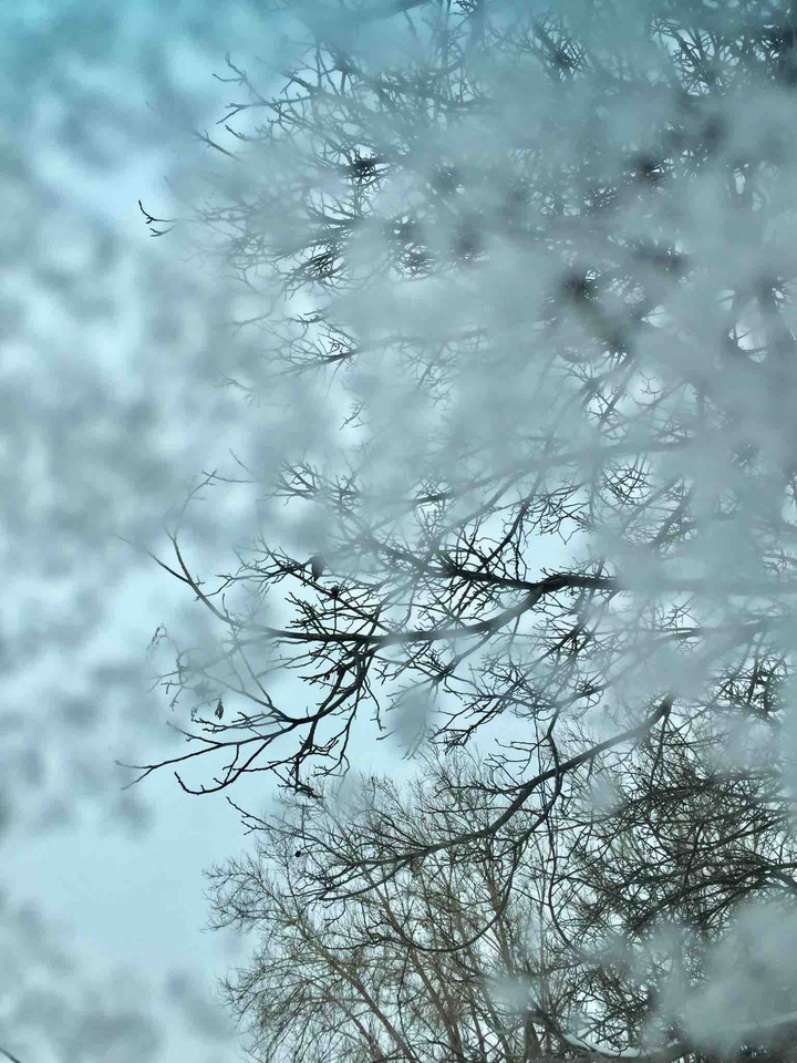 windscreen snow