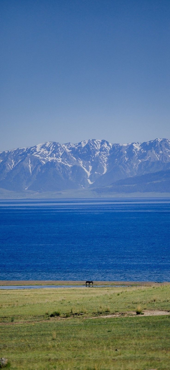 sfondi blue, plain