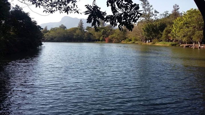 lago