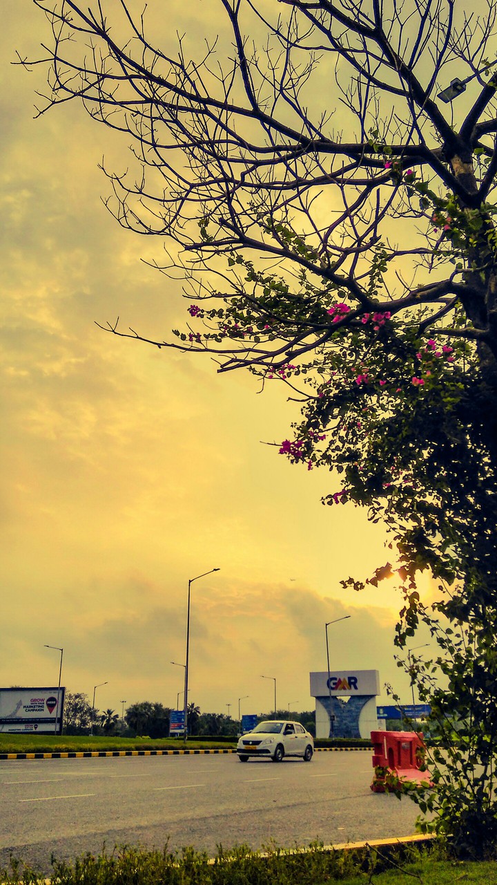 Autumn Morning