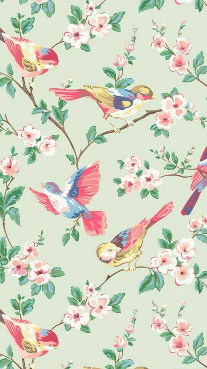 birds art