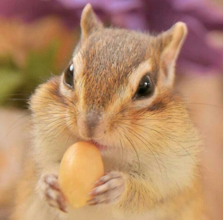 ❤❤