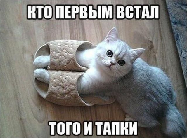 ха- ха-ха