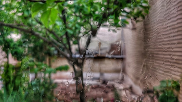 Rain