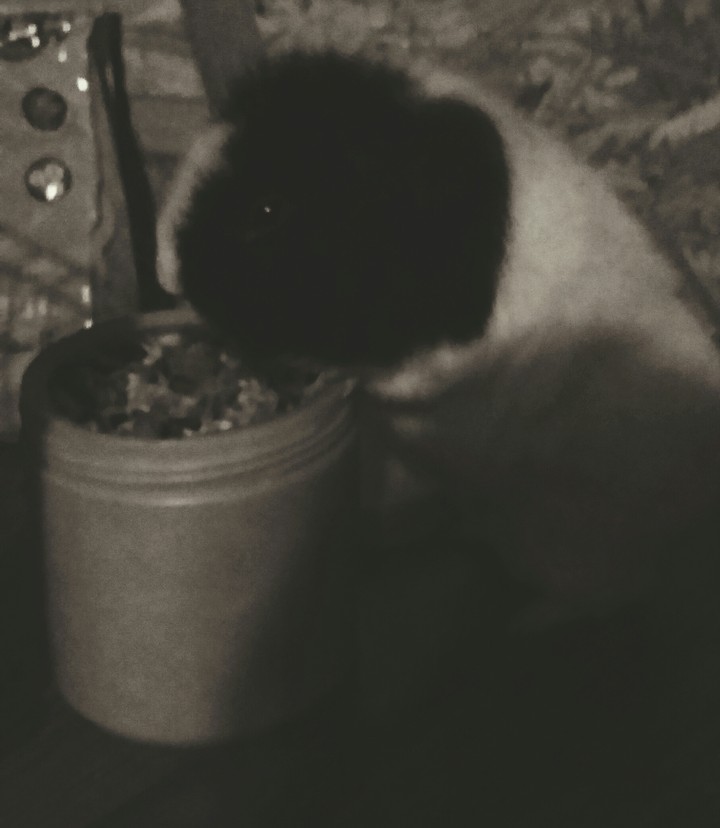 My loveeeeeee