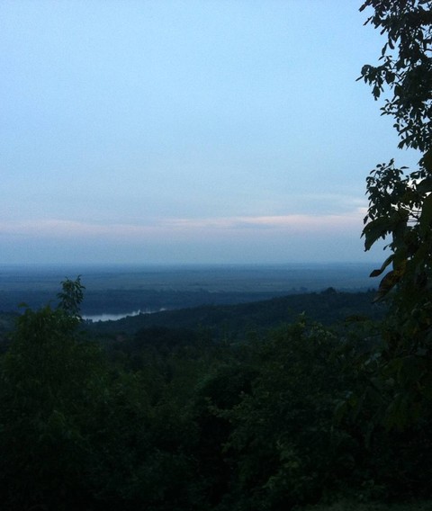 nature