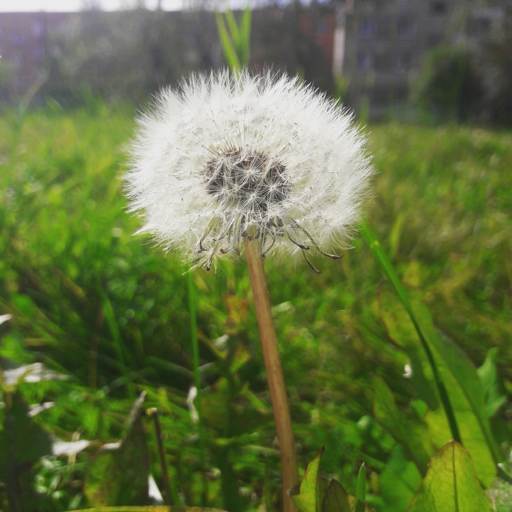 летнее настроение