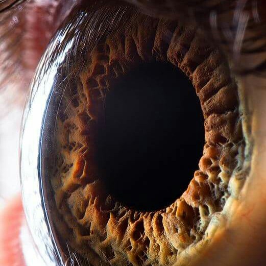 Human Eye