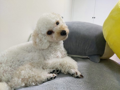 갸우뚱?
