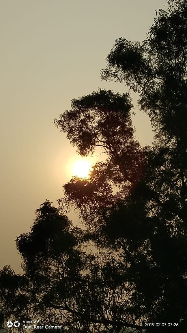 nature