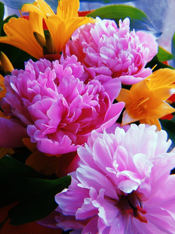 flowers