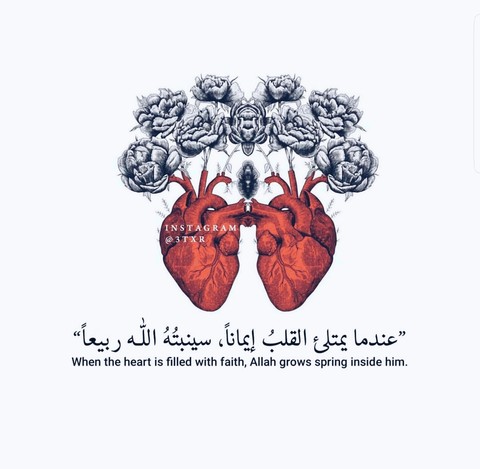 обои heart, text